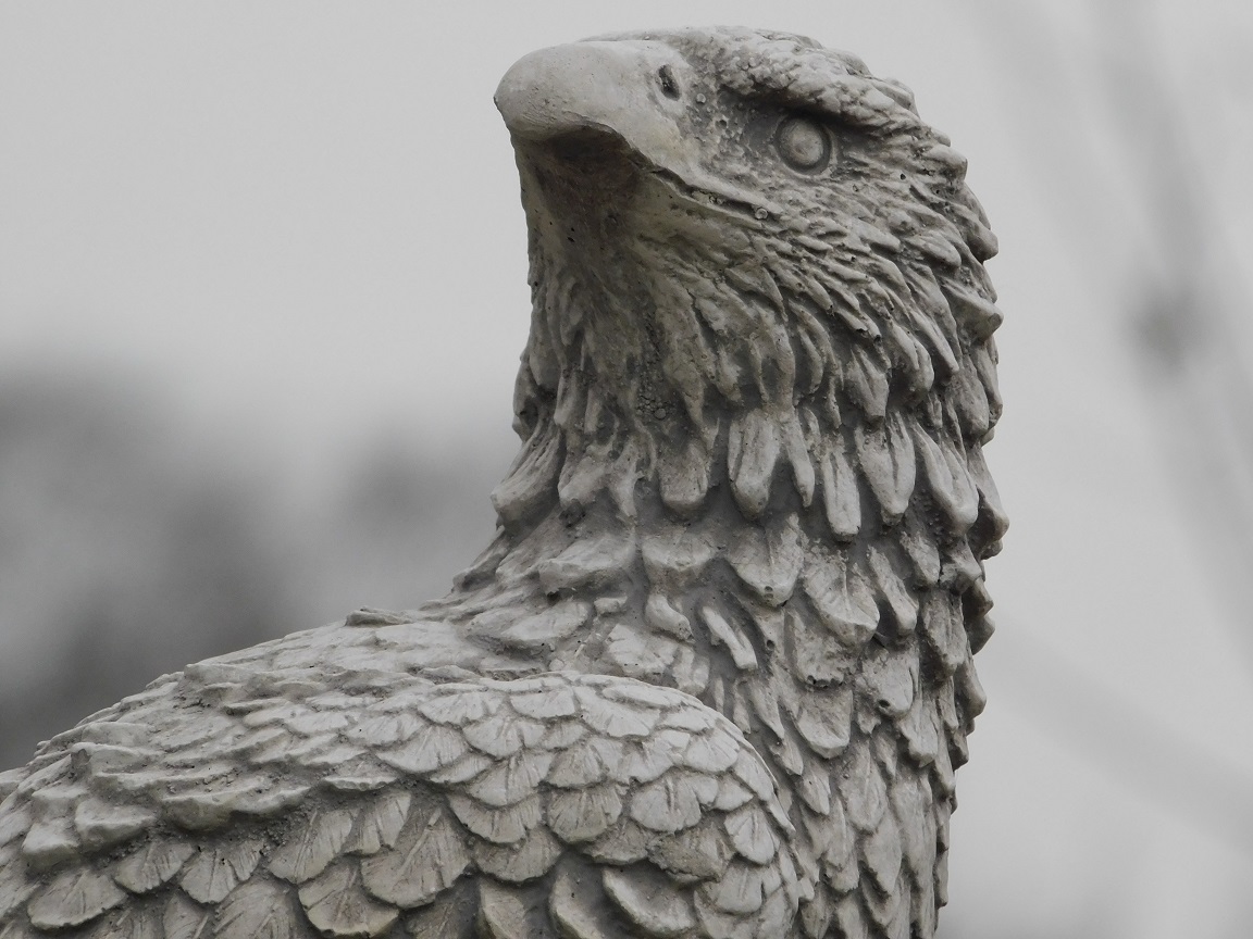 Beeld Adelaar - Steen - Gedetailleerd - Roofvogel Sculptuur