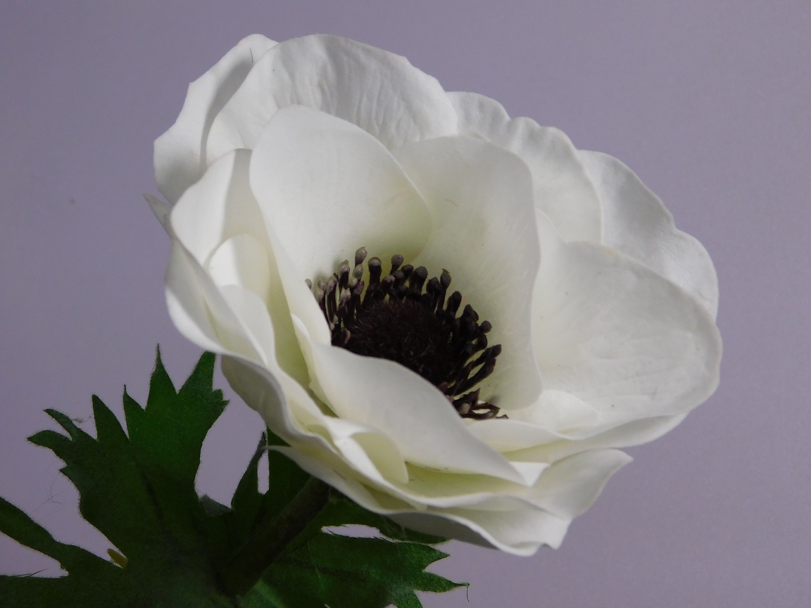 Künstliche Blume Anemonenstängel - Weiß - 53 cm
