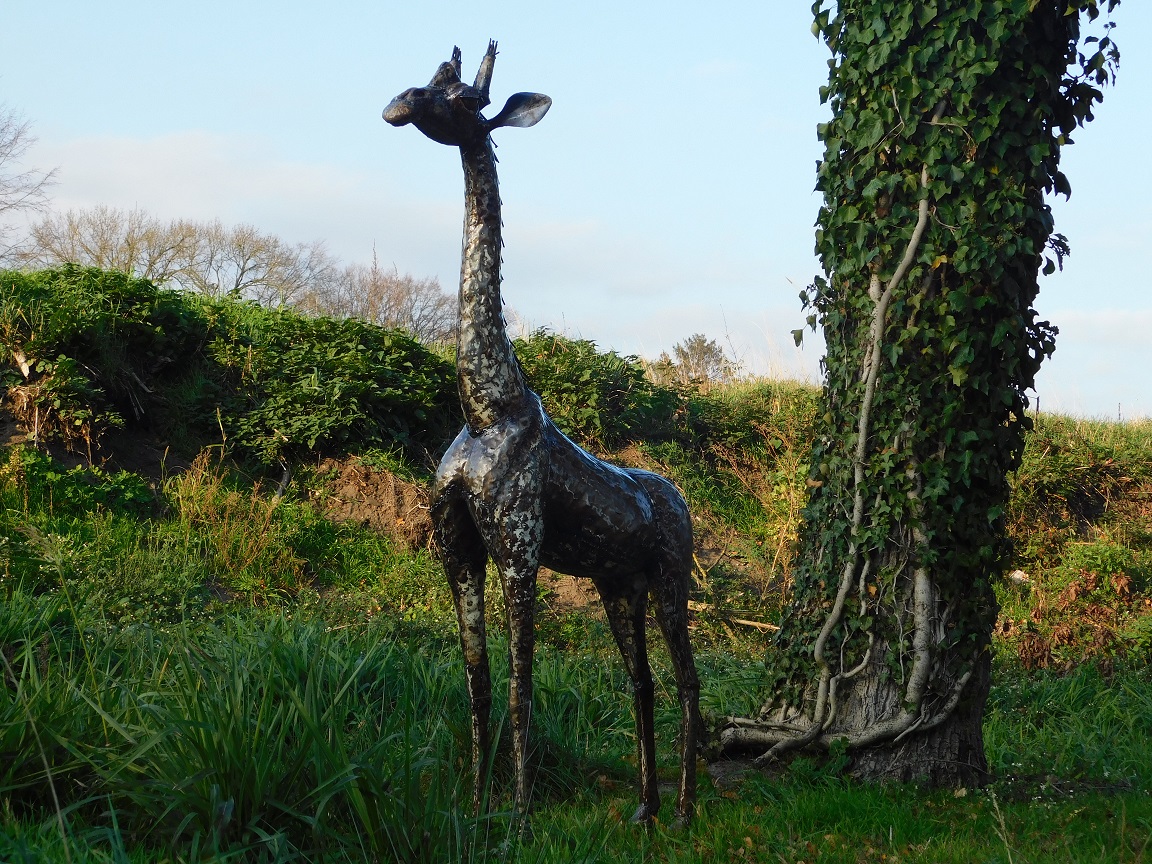 Giraffe XL - volledig van metaal - uniek object