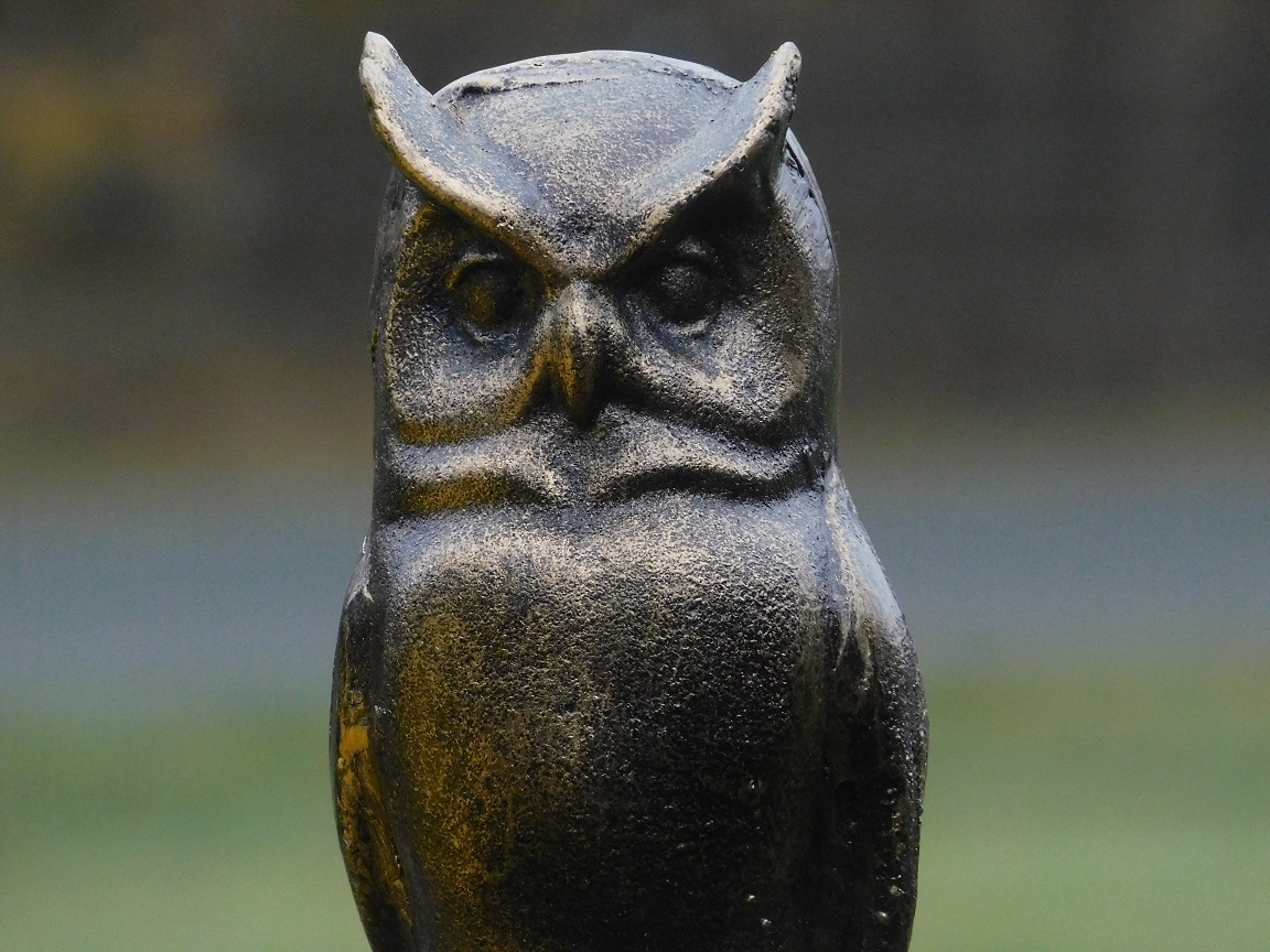 Statue wise owl - cast iron - sculpture