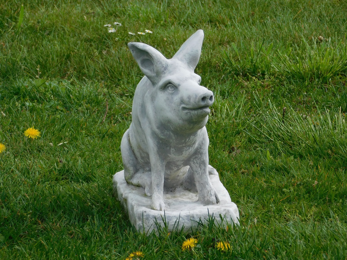 Statue eines Schweins - massiver Stein