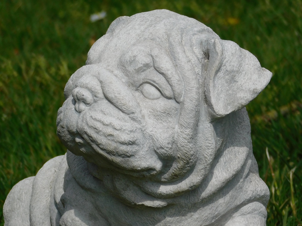 Statue Bulldogge Welpe - massivem Stein