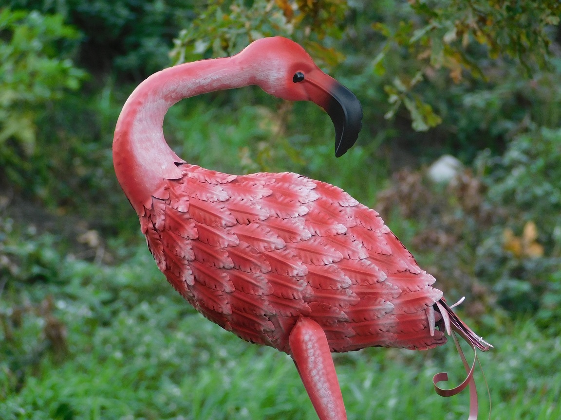 Prachtige grote forse metalen flamingo, echt een fascinerend kunstwerk, PRACHTIG!!