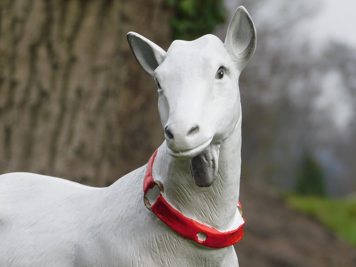 Goat - white - polystone - detailed