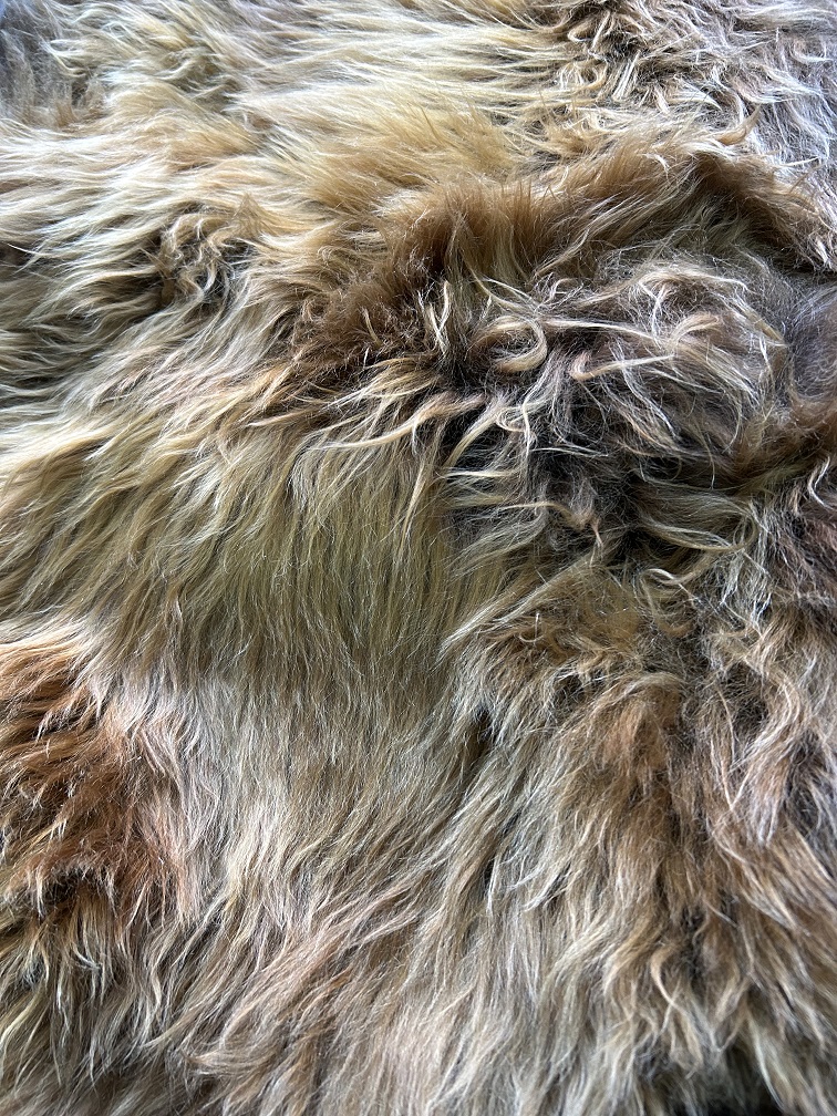 Gemêleerde vacht - bruin - Grizzly Icelander