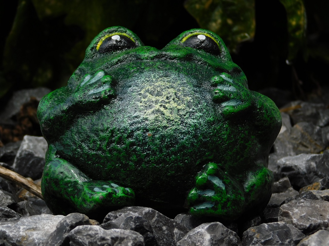 Statue eines Frosches, schöne Statue, grün, für drinnen und draußen