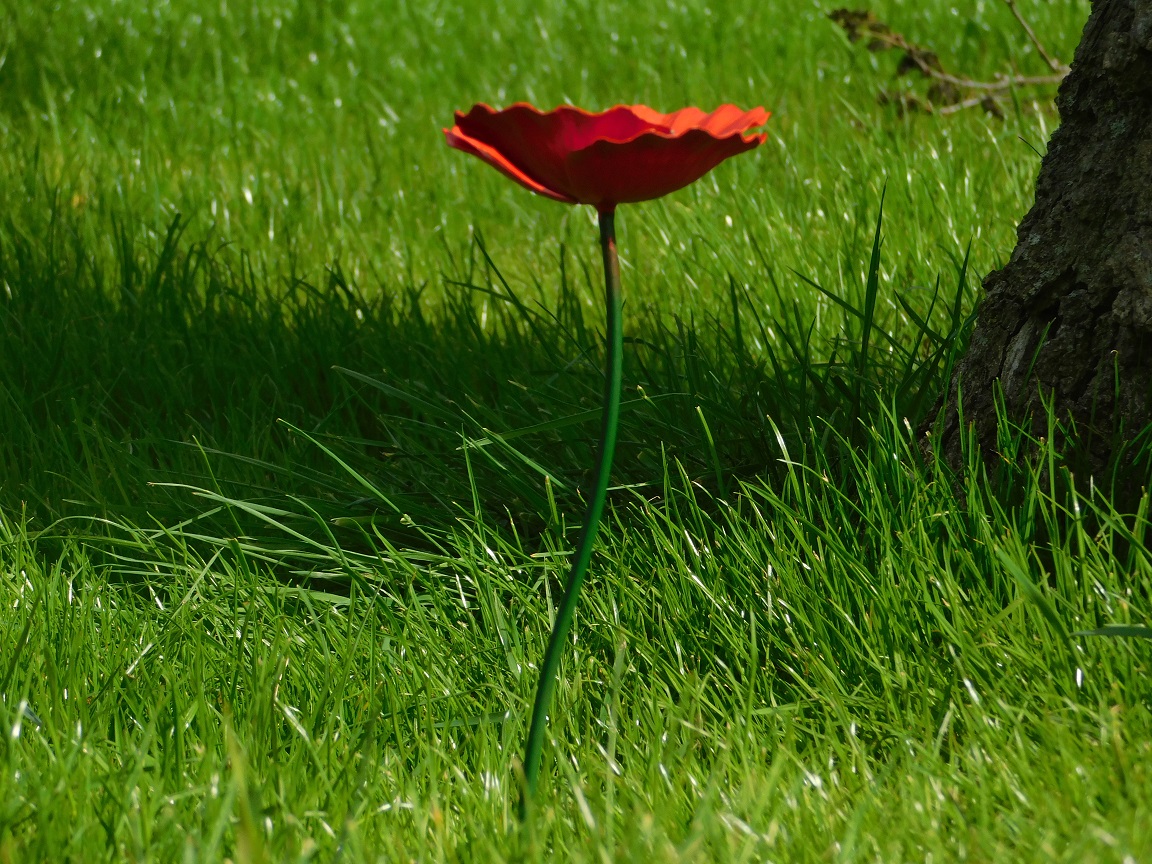 Handmade Poppy - garden planter 45 cm - metal