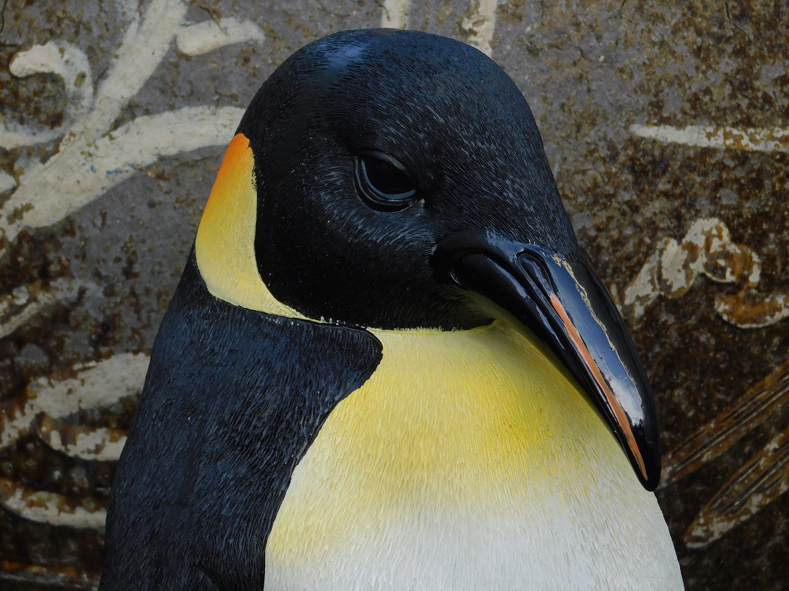 Gedetailleerd Pinguïn beeld - polystone
