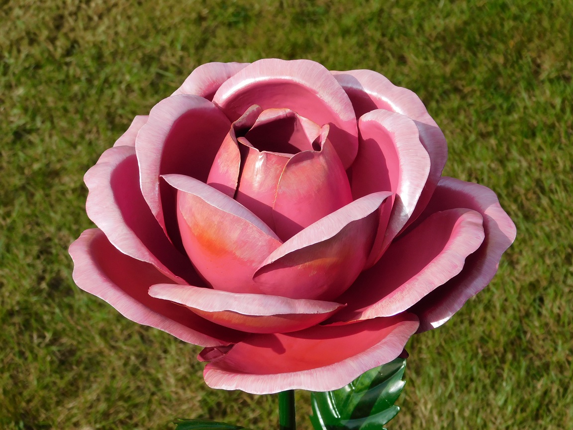 Grote Roos van Metaal - Tuinsteker - Roze