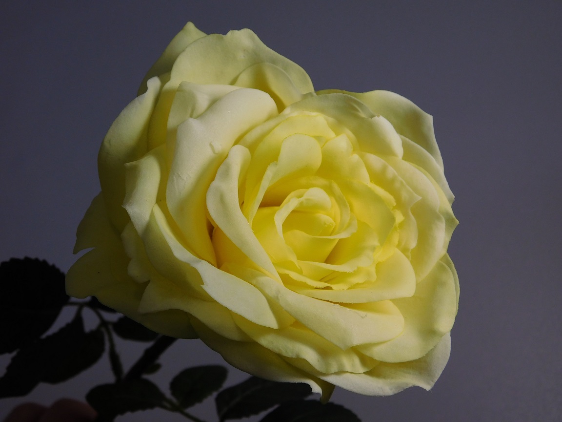 Künstliche Blume Rosenstahl - Gelb - 36 cm
