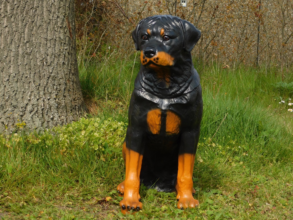 Beeld Rottweiler XL - polystone 