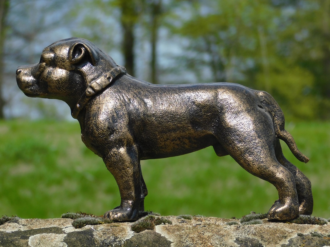 Statue Pitbull - cast iron - dog sculpture