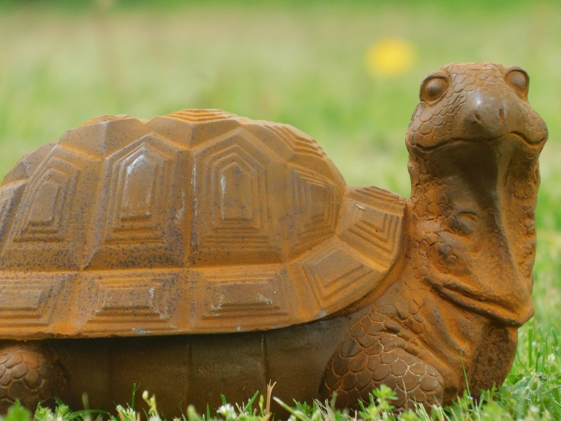 Cast iron Turtle statue - detailed 