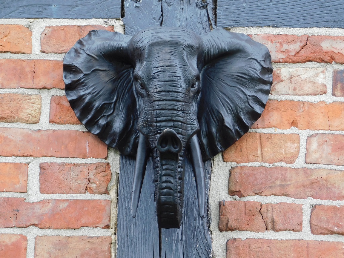 Schwarzer Elefantenkopf - Wanddekoration - Polystone
