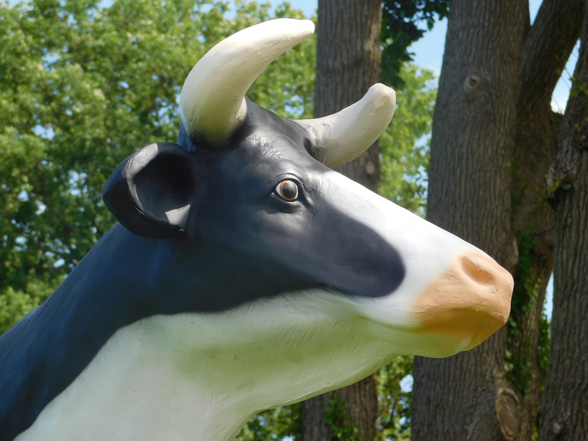 Lebensgroße Kuh in Farbe | Polystone | Statue Kuh XL