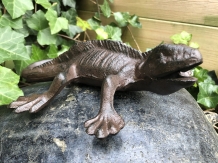 Lizard - Gecko - Cast iron - Brown