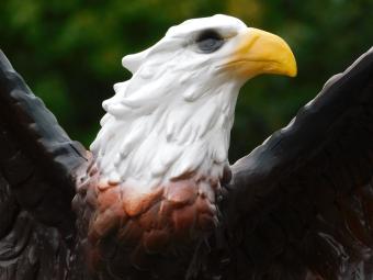Eagle with Spread Wings - 55 cm - Polystone