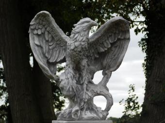 Eagle sculpture - 57 x 54 cm - Stone
