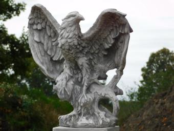 Eagle sculpture - 57 x 54 cm - Stone