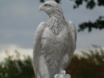 Eagle Garden Statue - 50 cm - Stone Animal Statue