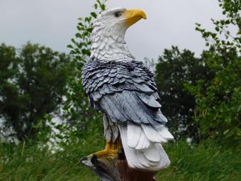 Adelaar XL - 65 cm - Zwart/Wit - Polystone
