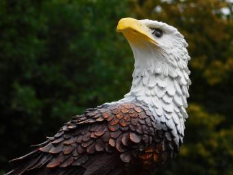 Eagle statue - 65 x 40 cm - Polystone