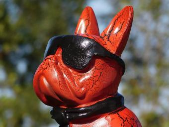 Beeld Franse Bulldog met Zonnebril en Stropdas - Rood/Zwart - Polystone - 35 cm