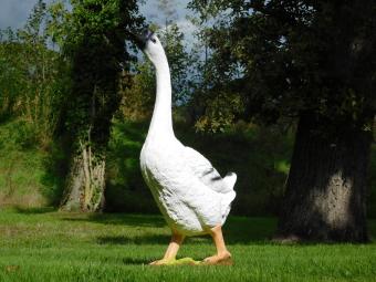 Goose statue - 80 x 50 cm - Polystone
