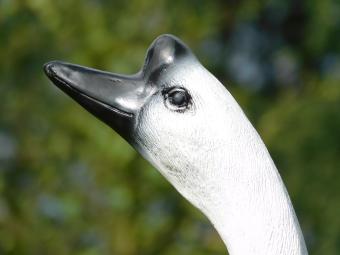 Goose statue - 80 x 50 cm - Polystone