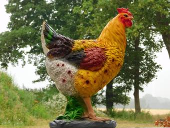 Decoratieve Haan - 53 x 42 cm - Polystone