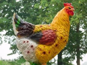 Decoratieve Haan - 53 x 42 cm - Polystone