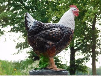 Decoratieve Haan C - 53 x 42 cm - Polystone