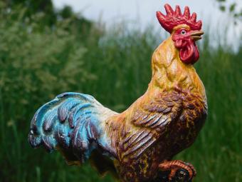 Statue Rooster in Colour - Cast iron