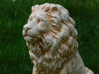 Beeld Leeuw XL - 67 cm - Polystone