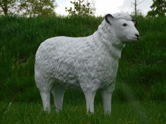 Statue Sheep - 80 cm - Polystone