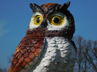 Braune Eule XL - 70 x 40 cm - Polystone