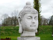 Buddha Head - 50 cm - Stone