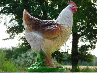 Decoratieve Haan B - 53 x 42 cm - Polystone