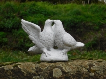 Pigeons pair full of stone, beautiful statue.