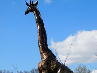 Giraffe Malaika - 290 cm - Handgemaakt en Uniek