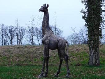 Eenmalig: Giraffe XL - 180 cm - Polystone