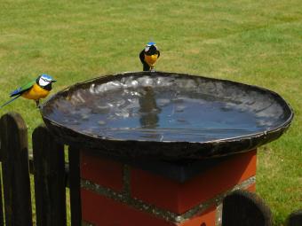 Vogelbad / Voederschaal Met 2 Vogeltjes – Metaal – Ø 45 cm – Handgemaakt