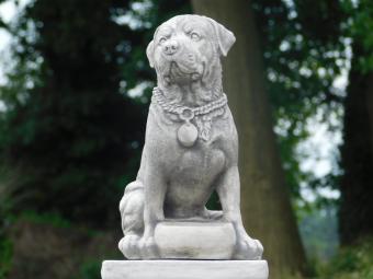 Hond op Sokkel - 68 cm - Steen