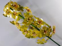 images/productimages/small/hyacint.hg.geel.met.ps855733.jpg