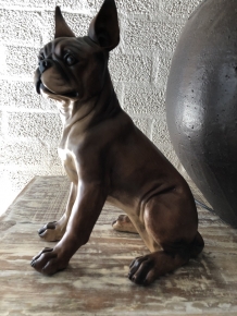 French bulldog model, craftwood-brown sitting., LAST!!