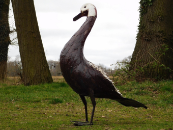 Knobbelzwaan - 128 cm - Uniek en Handgemaakt uit Metaal