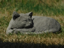 Reclining cat - stone - grey