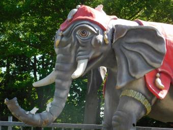 Einmalig: Elefant XXL - 340 x 400 cm - Einzigartiges Bild