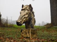 Groot paardenhoofd - goud met zwart - polystone