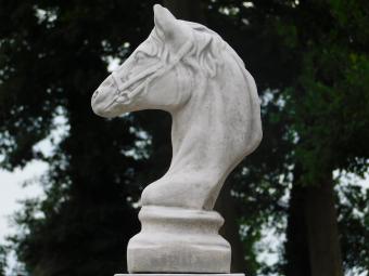 Paardenhoofd op Sokkel - 83 cm - Steen